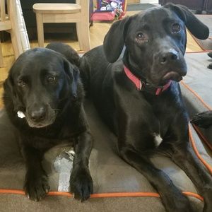 Meet your Posher, Mary